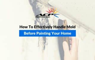 How To Effectively Handle Mold Before Painting Your Home
