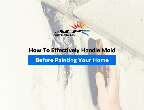 How To Effectively Handle Mold Before Painting Your Home