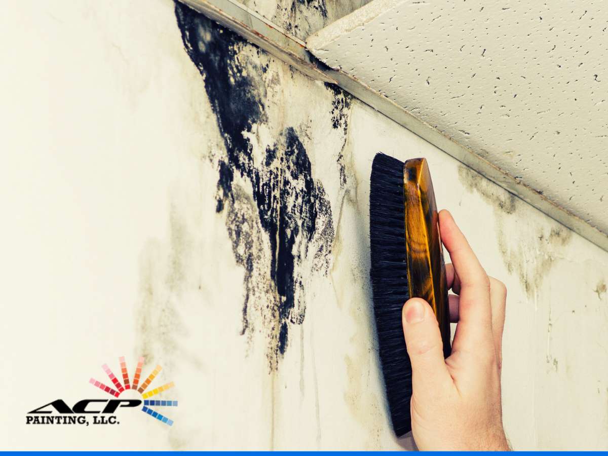 Man scrubbing mold over a paint wall